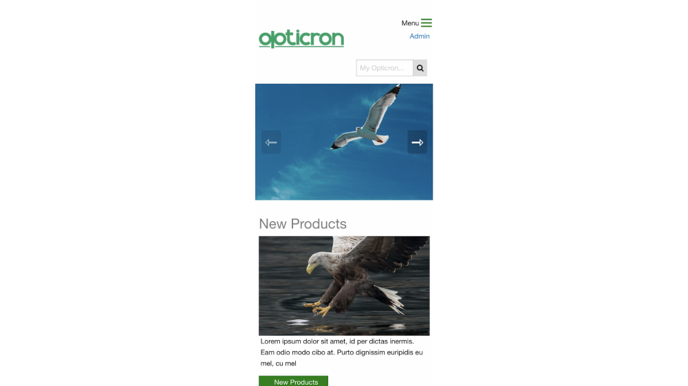 ASP.NET Screenshot 4